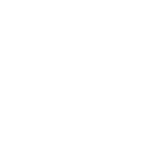 DOUBLETAKE MIRRORS