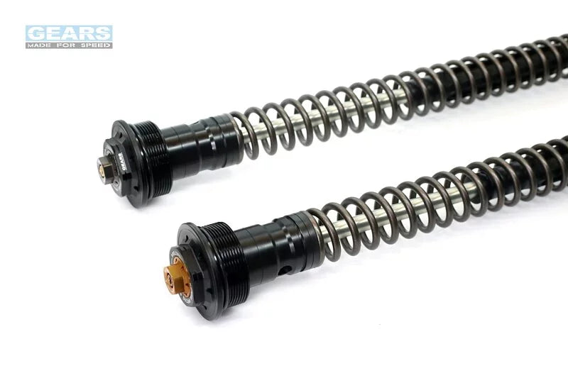 CFMOTO 450MT (24~)/IBEX 450 (25~) Front Fork Cartridge Inverted-Forks ( FFC-250-T ) - Wadamart
