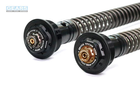 YAMAHA YZF R15 V3 (18~20)/MT15 (19~21)/FZS150 (18~) Front Fork Cartridge Conventional-Forks ( FFC-250-T ) - Wadamart