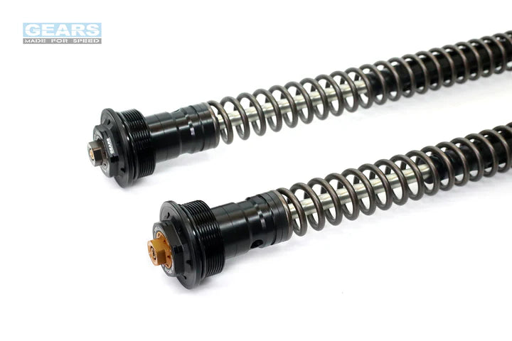 YAMAHA YZF R15 V3 (18~20)/MT15 (19~21)/FZS150 (18~) Front Fork Cartridge Conventional-Forks ( FFC-250-T ) - Wadamart
