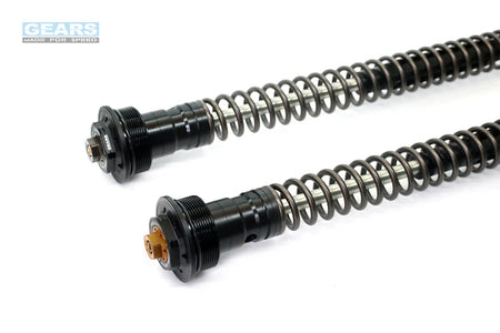 YAMAHA YZF R15 V3 (18~20)/MT15 (19~21)/FZS150 (18~) Front Fork Cartridge Conventional-Forks ( FFC-250-T ) - Wadamart